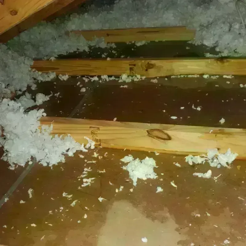 Attic Water Damage in Conway, MA